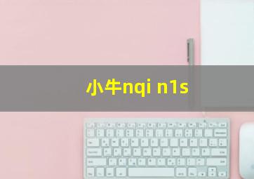 小牛nqi n1s